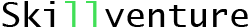 Skillventure - DEVELOPER